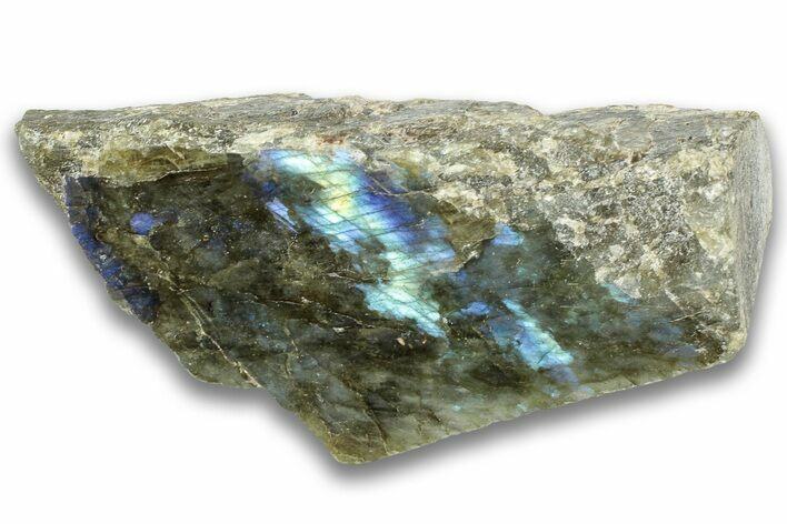 Single Side Polished Labradorite Section - Madagascar #324661